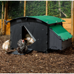 Poulailler plastique recyclé 2 à 4 poules