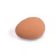 Faux œufs pour favoriser la ponte de vos poules