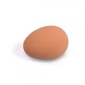 Faux œuf