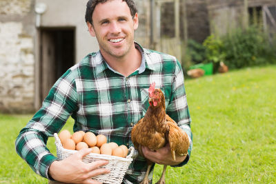Homme avec sa poule et sa récolte d’œufs du jour