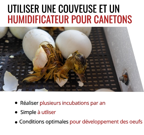 Achetez votre couveuse chez le Roi de la Poule